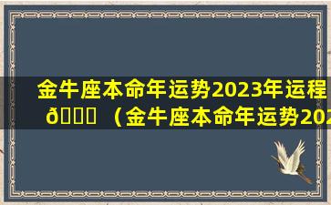 金牛座本命年运势2023年运程 🐘 （金牛座本命年运势2023年运程 🐞 如何）